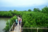 Maron Mangrove Edu Park