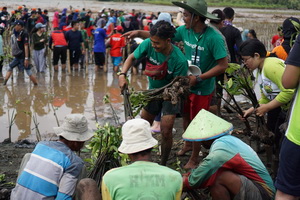 Djarum Foundation Tanam 10.000 Mangrove di Mangkang Semarang